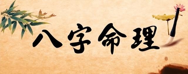 八字深度报告（41 模块全量）